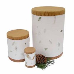 Evergreen Simply Scattering Tube Urns