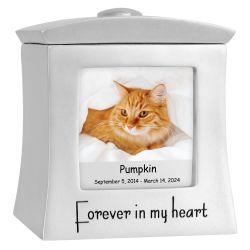 Cat Photo Forever In My Heart Keepsake Urn - Professional Engraving Option
