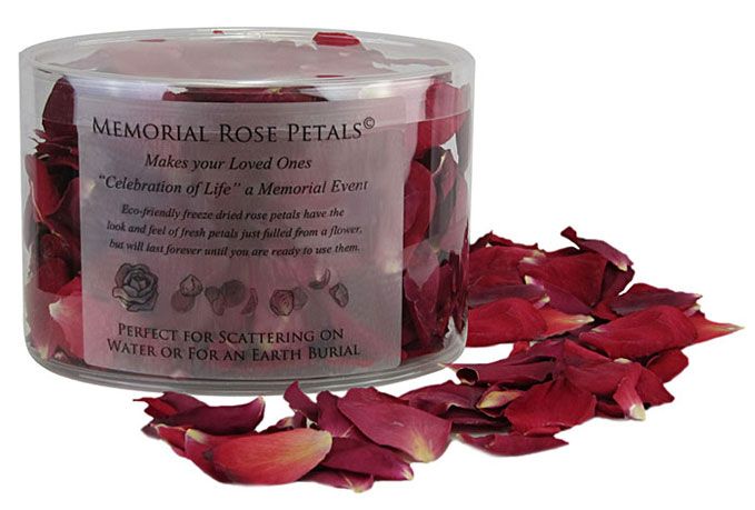  Memorial Petals for Scattering - Pink, Dried Flower  Biodegradable, Earth Friendly Petals for Ground or Sea Burial : Home &  Kitchen