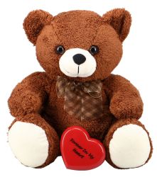 Forever Brown Hug Me Bear Heart Keepsake Urn