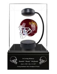 Iowa State University