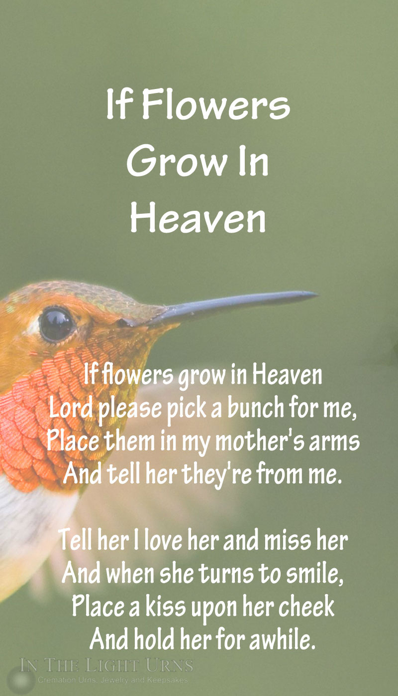  Hummingbird  If Flowers Grow In Heaven