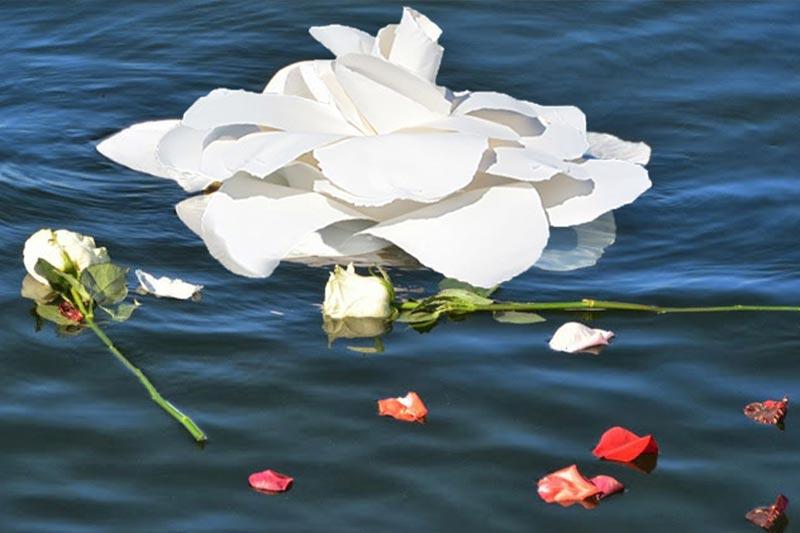 "Strong as Jamie" - Jamie's Legacy: A Memoir of Jamie Cambron Moss (1961-2014)