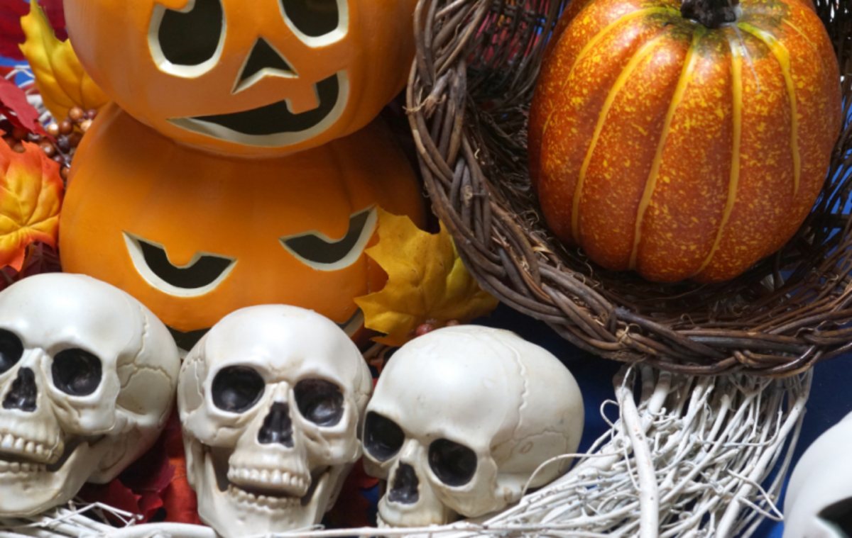 Skulls and jack-o-lantern halloween decorations.