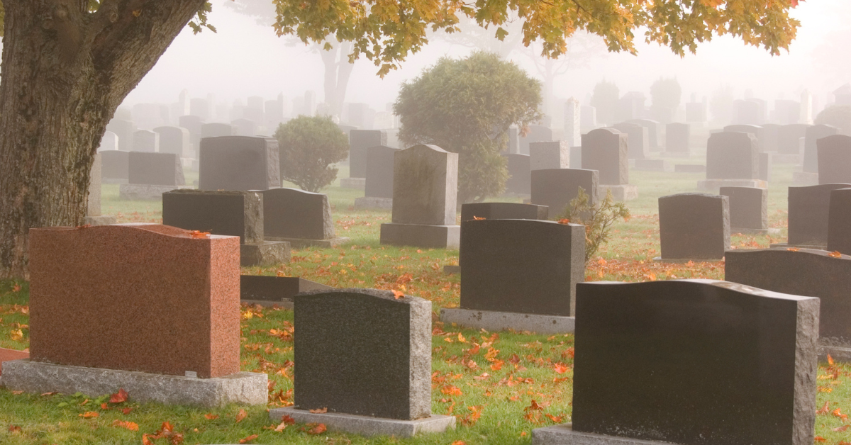 Headstones filling a foggy cemetery under a large tree.