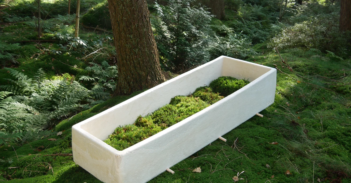 White mushroom coffin similar looking to styrofoam, much sturdier made of harden and dry wood chips and mycelium 