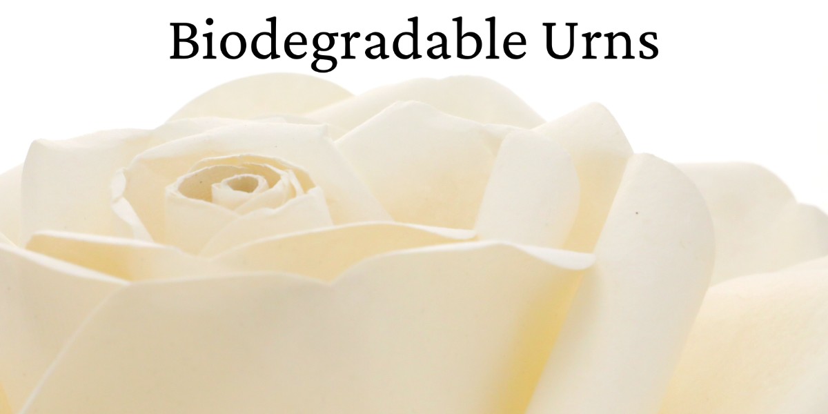 Biodegradable Urns - white rose.
