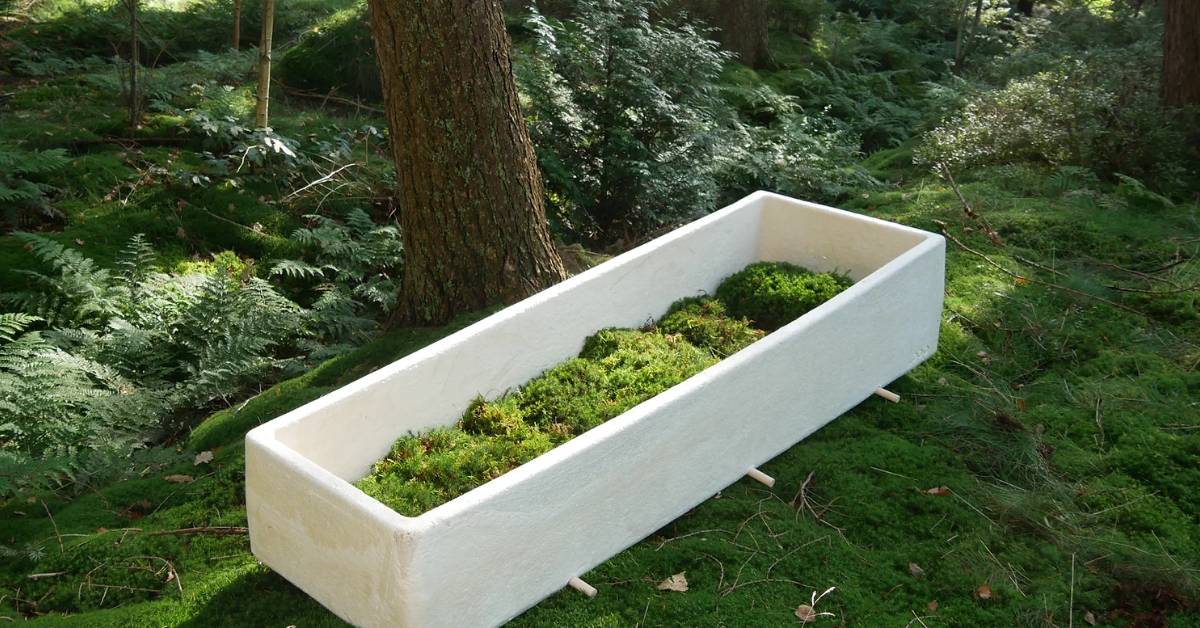 White mushroom coffin similar looking to styrofoam, much sturdier made of harden and dry wood chips and mycelium.