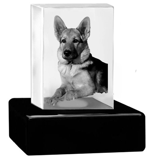 Pet Wood Memorial Urn Crystal Rectangle Set Dog or Cat Cremation Crystal Urn