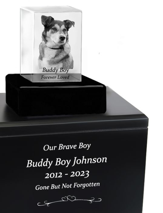 3d pet urns store
