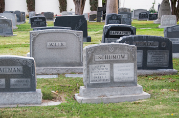 Group of mid-sized headstones in a cemetery.