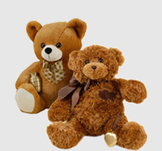 Two soft brown teddy bears.