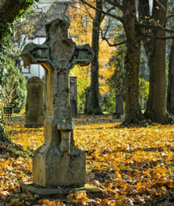 Cross headstone amongst trees in a cemetery.