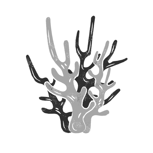 Create a reef - Clipart sketch of a coral reef