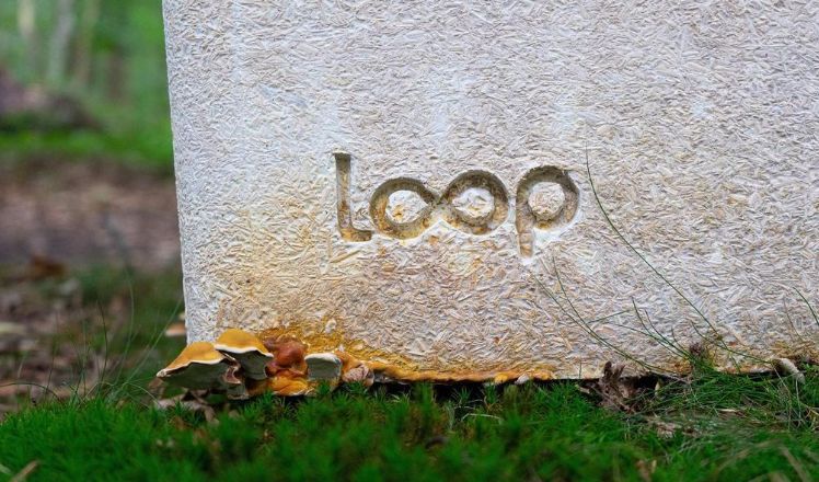 Loop Biotech logo etched on the side of a mushroom coffin.