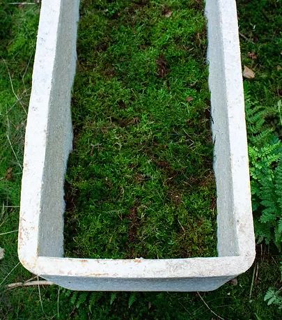 Loop of Life's innovative mushroom coffin.