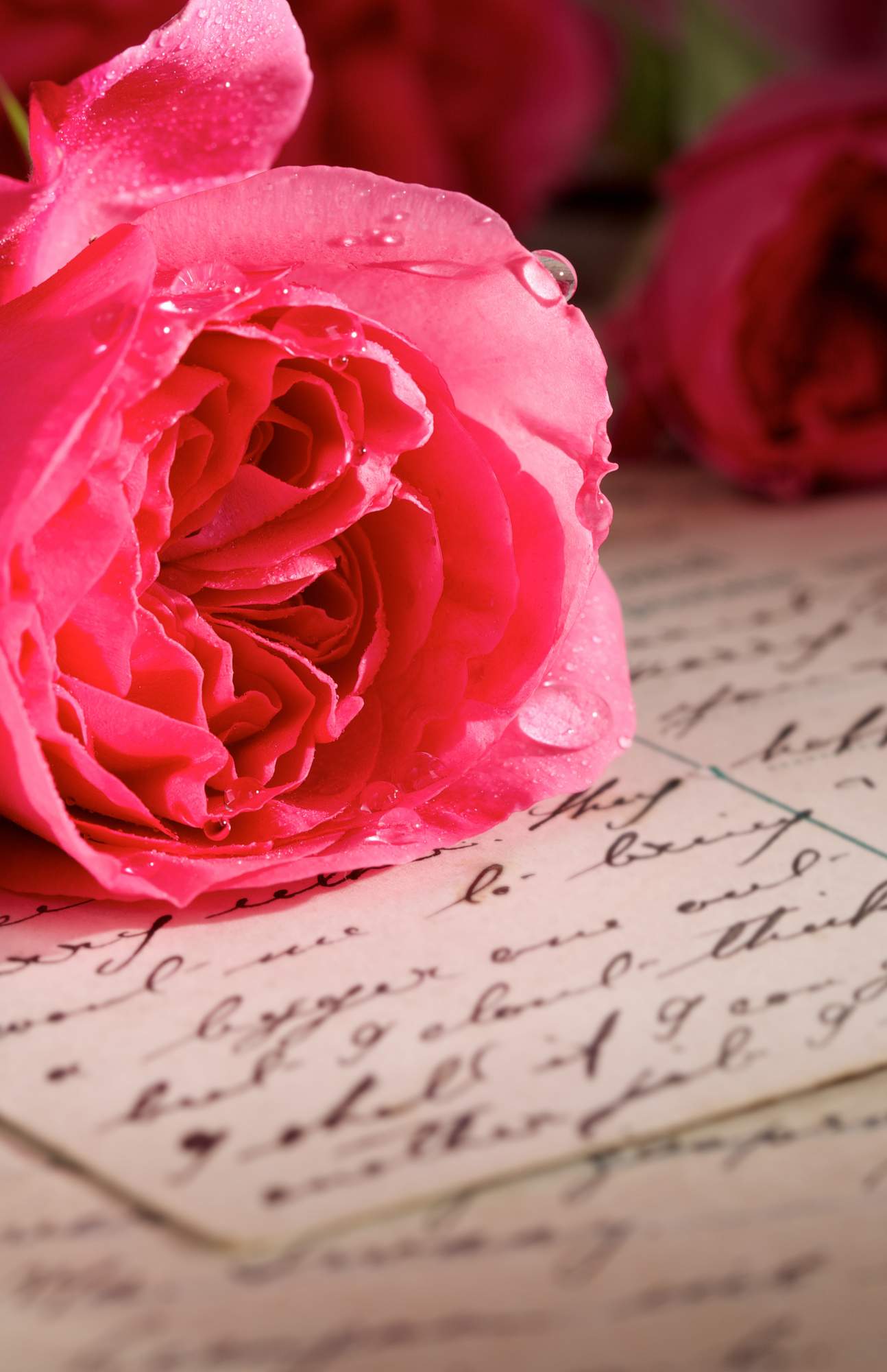 Love letter with a pink rose sitting on top.