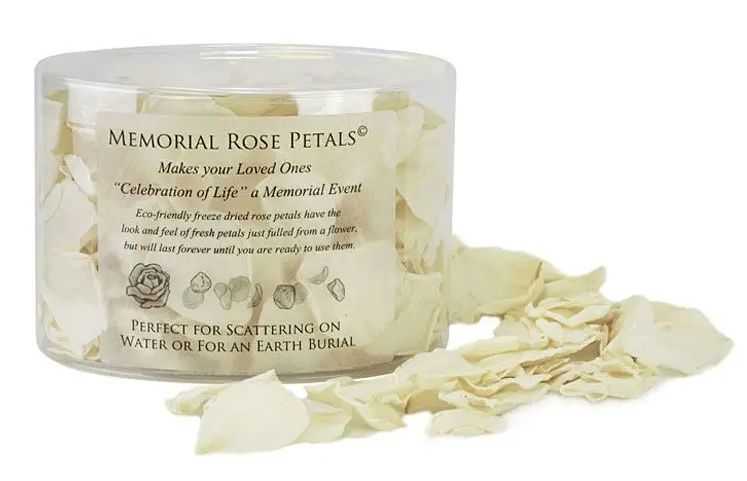 The Memorial Rose Petals© Sorrowful Ivory are beautiful white to ivory petals in color, which are a perfect color for anyone as they pure in sorrowful mourning.  They look and feel like fresh petals for weeks.