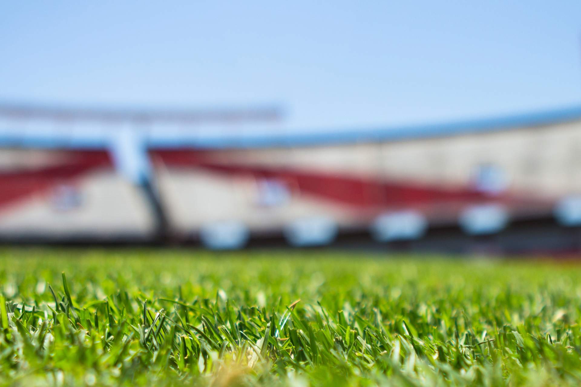 Close-up of the turf in a football stadium.